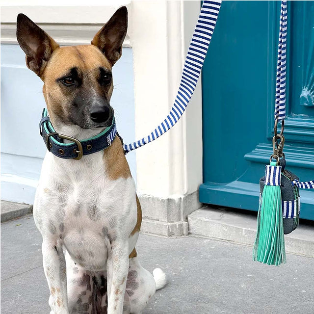 Dog with a Mission Hundeleine | Mr. Cruise Hundeleine