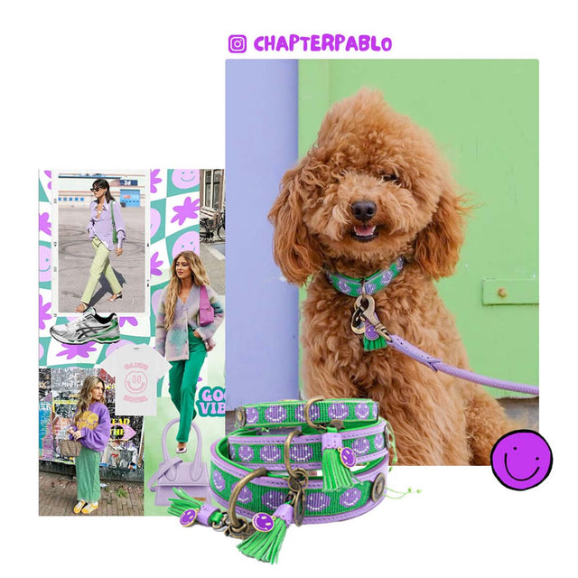 Dog with a Mission Hundehalsband | Smiley Hundehalsband