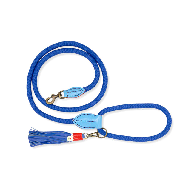 Dog with a Mission Hundeleine | Dutchie Hundeleine