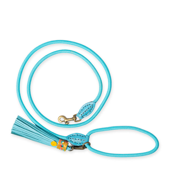 Dog with a Mission Hundeleine | Indian Summer Hundeleine