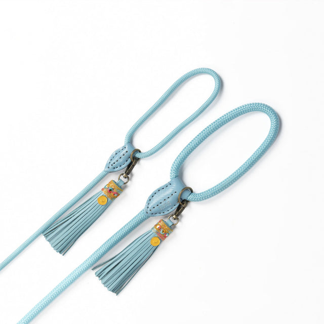 Dog with a Mission Hundeleine | Indian Summer Hundeleine