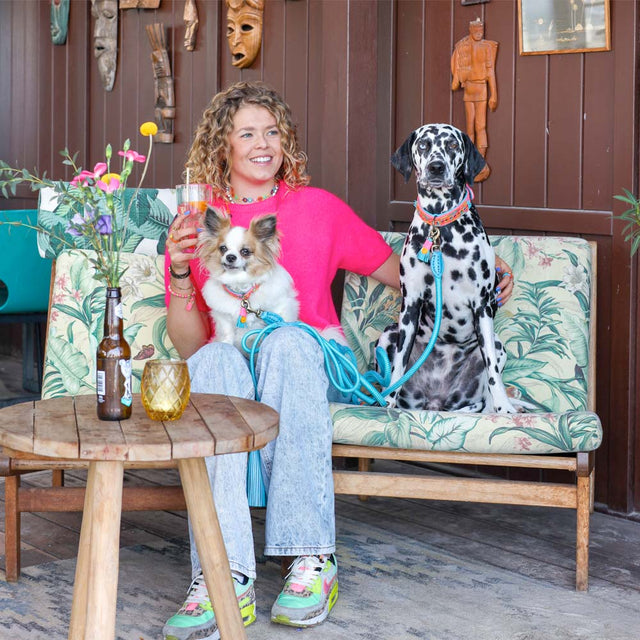 Dog with a Mission Hundeleine | Indian Summer Hundeleine