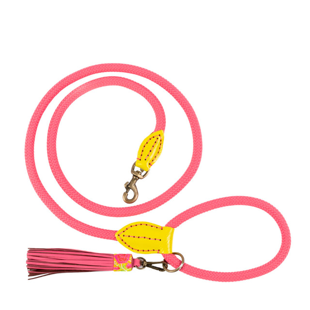 Dog with a Mission Hundeleine | Lotus Hundeleine