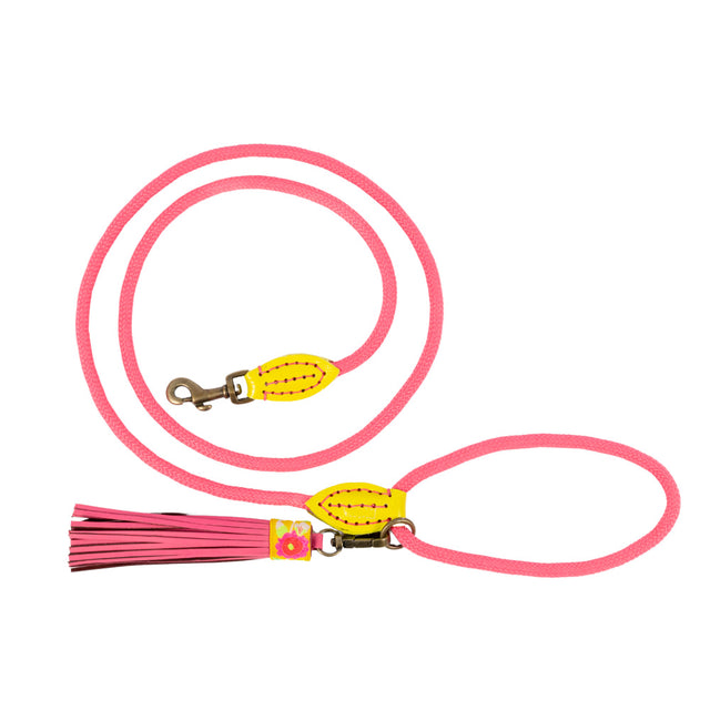 Dog with a Mission Hundeleine | Lotus Hundeleine