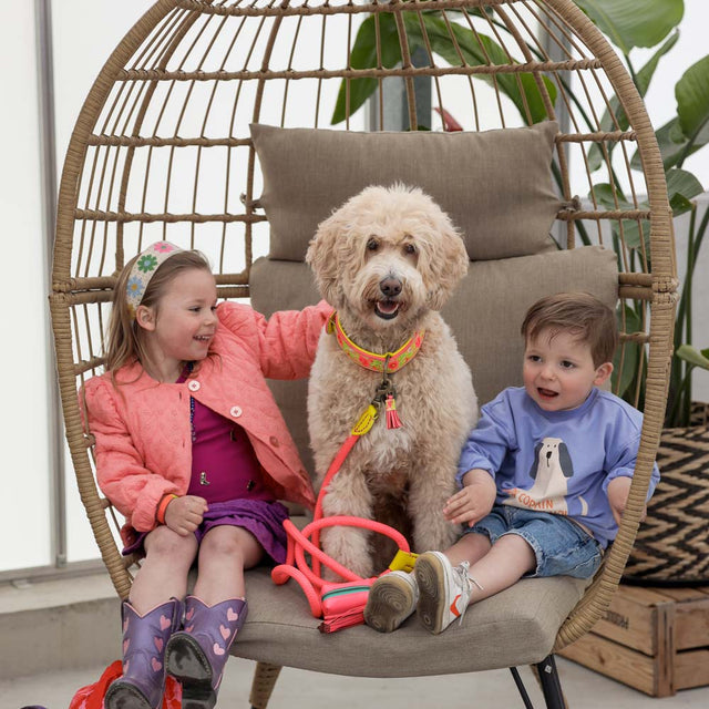 Dog with a Mission Hundeleine | Lotus Hundeleine