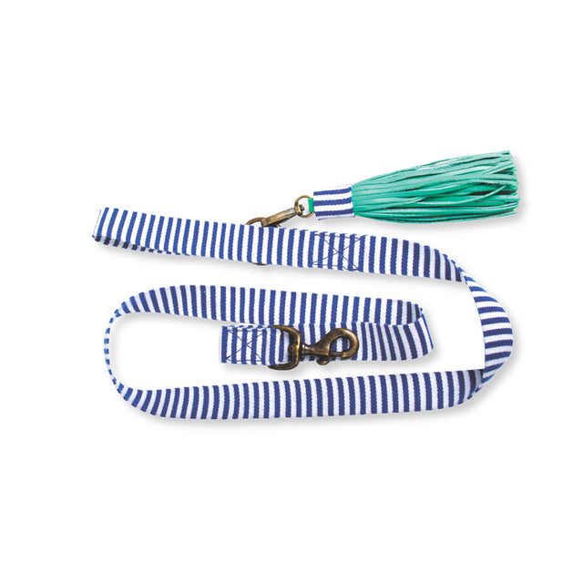 Dog with a Mission Hundeleine | Mr. Cruise Hundeleine