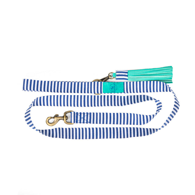 Dog with a Mission Hundeleine | Mr. Cruise Hundeleine