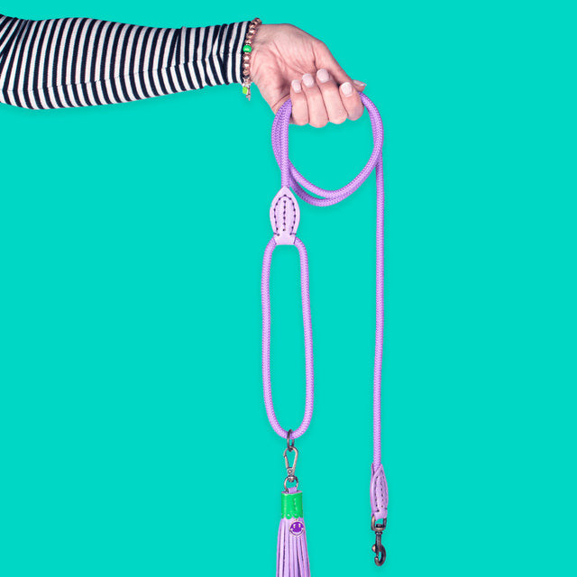 Dog with a Mission Hundeleine | Purple Rain Hundeleine