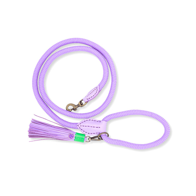 Dog with a Mission Hundeleine | Purple Rain Hundeleine