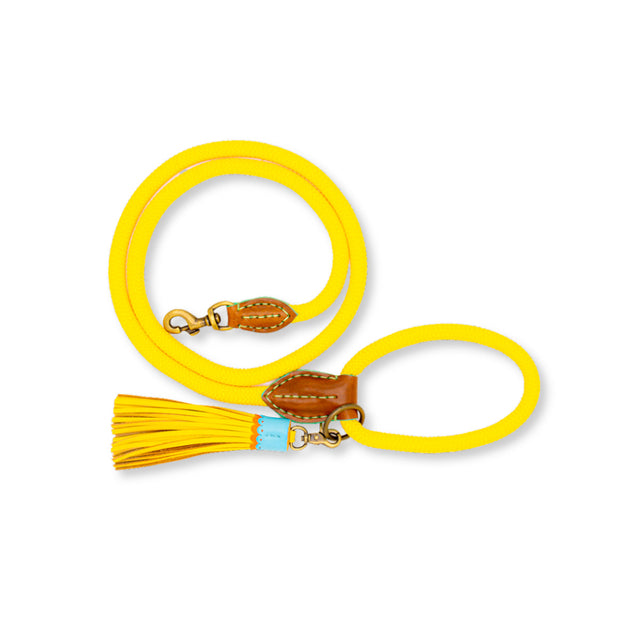 Dog with a Mission Hundeleine | Sunny Hundeleine