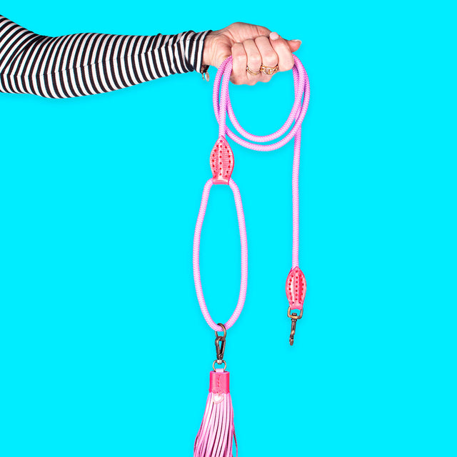 Dog with a Mission Hundeleine | Sweety Hundeleine