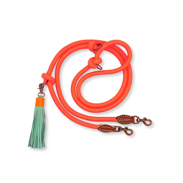 Dog with a Mission Hundeleine | Carrot Cake – verstellbar Hundeleine