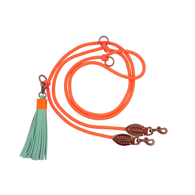 Dog with a Mission Hundeleine | Carrot Cake – verstellbar Hundeleine