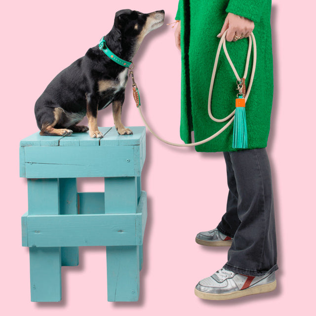 Dog with a Mission Hundeleine | Sand – verstellbar Hundeleine