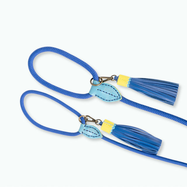 Dog with a Mission Hundeleine | Sky – verstellbar Hundeleine