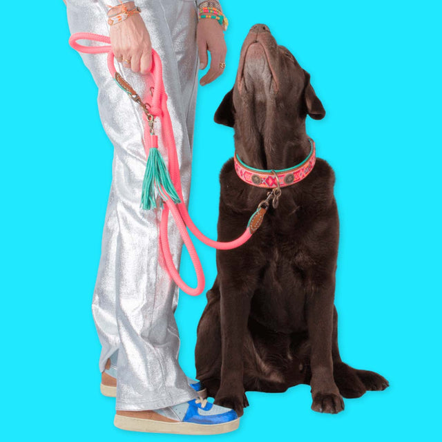 Dog with a Mission Hundeleine | Sugarbabe – verstellbar Hundeleine