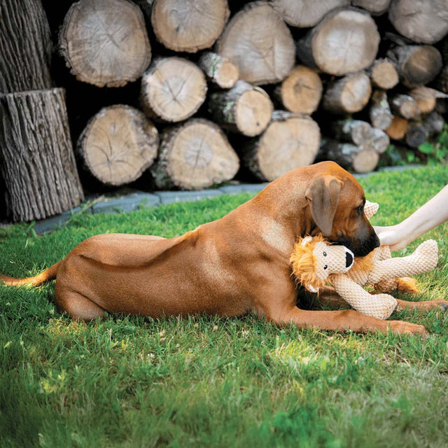 Fabdog Floppy Lion Stoffspielzeug