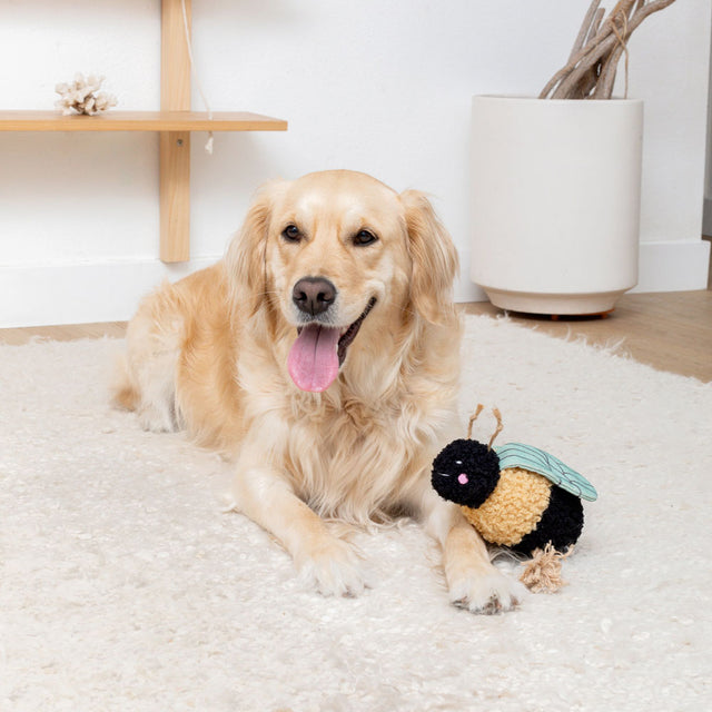 Fringe Studio Hundespielzeug Mrs. Bee Stoffspielzeug