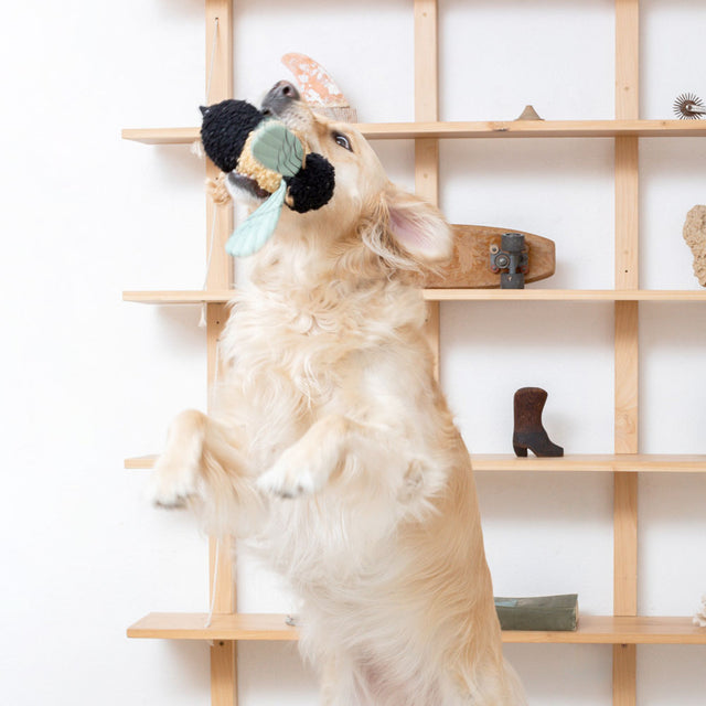 Fringe Studio Hundespielzeug Mrs. Bee Stoffspielzeug