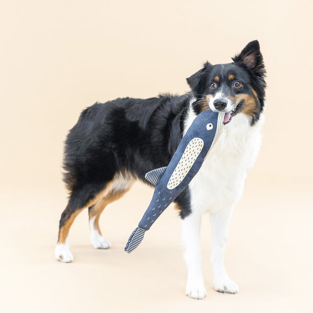 Fringe Studio Hundespielzeug There She Blows Stoffspielzeug