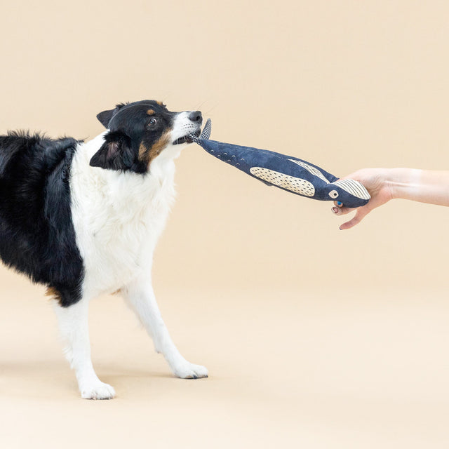 Fringe Studio Hundespielzeug There She Blows Stoffspielzeug