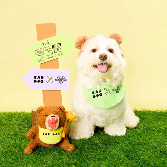 The FurryFolks Hundespielzeug, Happy Bear Tofino Interaktiv