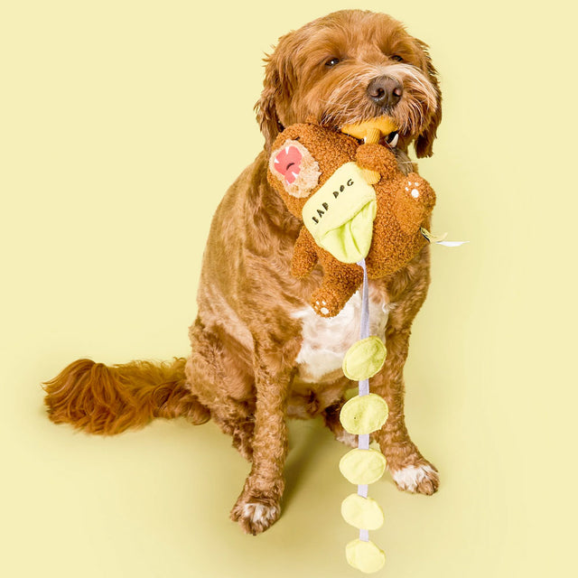 The FurryFolks Hundespielzeug, Happy Bear Tofino Interaktiv