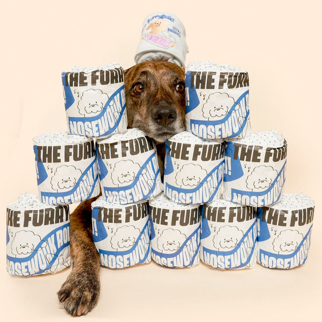 The FurryFolks Hundespielzeug, Toilet Paper Interaktiv