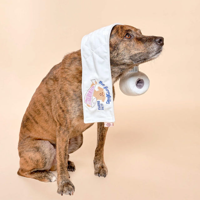 The FurryFolks Hundespielzeug, Toilet Paper Interaktiv