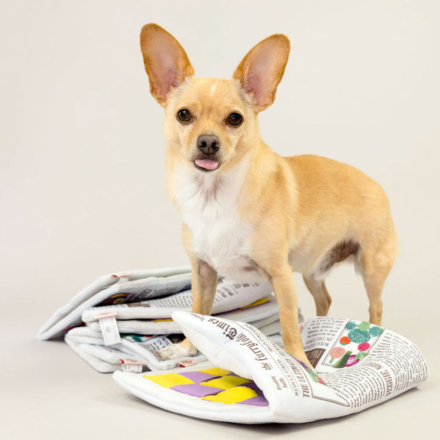 The FurryFolks Hundespielzeug, Newspaper Interaktiv