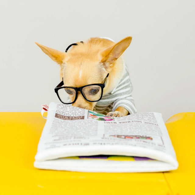 The FurryFolks Hundespielzeug, Newspaper Interaktiv