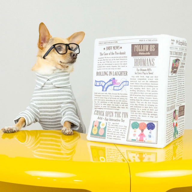 The FurryFolks Hundespielzeug, Newspaper Interaktiv