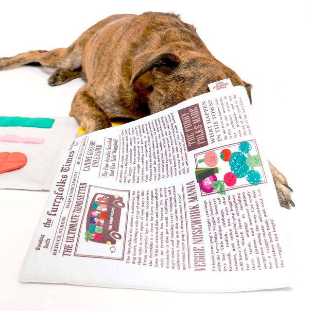 The FurryFolks Hundespielzeug, Newspaper Interaktiv