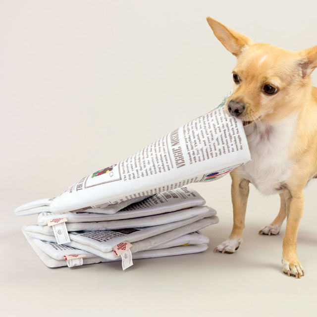 The FurryFolks Hundespielzeug, Newspaper Interaktiv