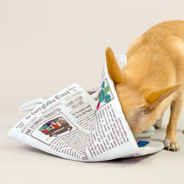 The FurryFolks Hundespielzeug, Newspaper Interaktiv