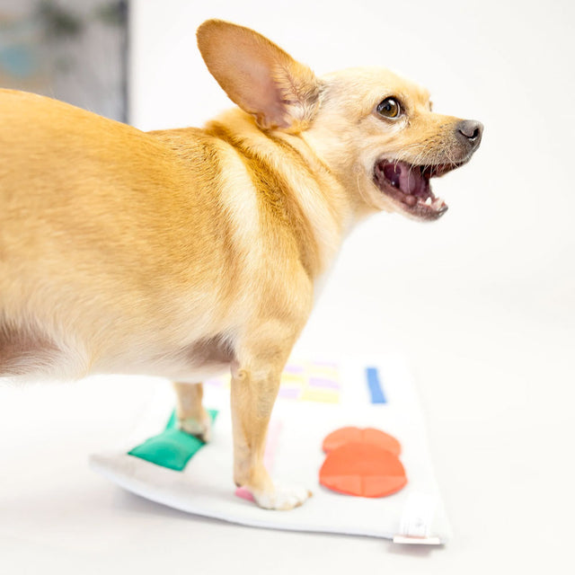 The FurryFolks Hundespielzeug, Newspaper Interaktiv