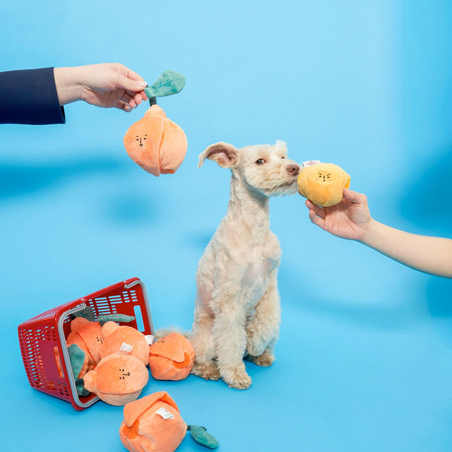 The FurryFolks Hundespielzeug, Orange Interaktiv