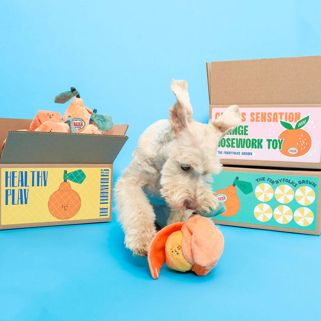 The FurryFolks Hundespielzeug, Orange Interaktiv