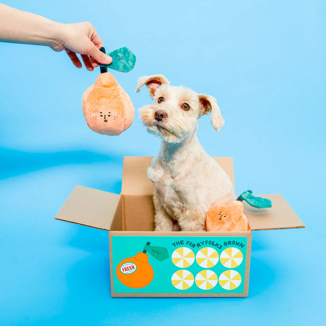 The FurryFolks Hundespielzeug, Orange Interaktiv