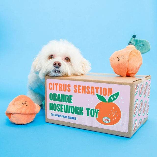 The FurryFolks Hundespielzeug, Orange Interaktiv