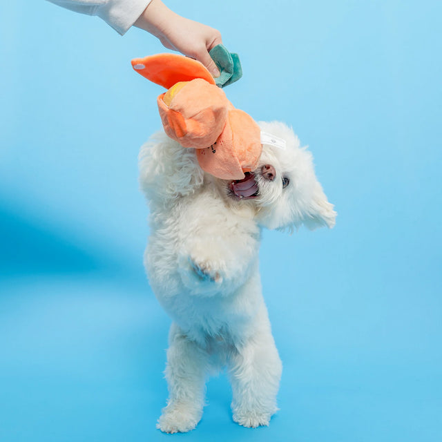 The FurryFolks Hundespielzeug, Orange Interaktiv