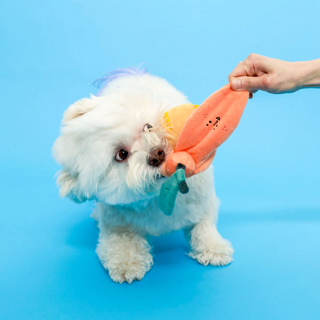 The FurryFolks Hundespielzeug, Orange Interaktiv