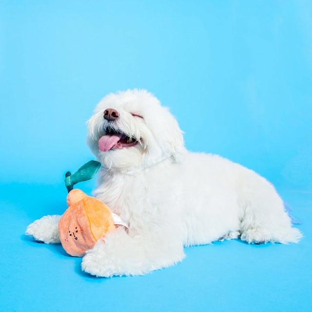 The FurryFolks Hundespielzeug, Orange Interaktiv