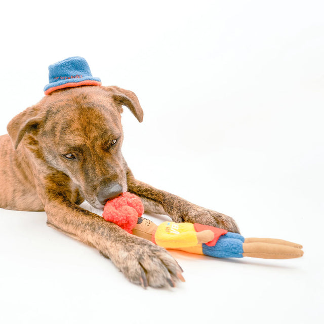 The FurryFolks Hundespielzeug, Surfer Hooman Interaktiv