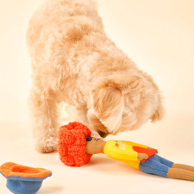 The FurryFolks Hundespielzeug, Surfer Hooman Interaktiv