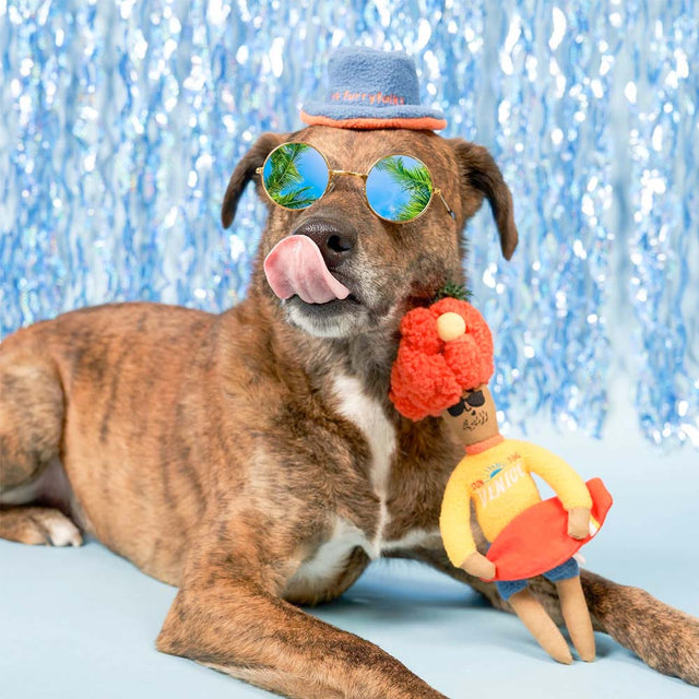 The FurryFolks Hundespielzeug, Surfer Hooman Interaktiv