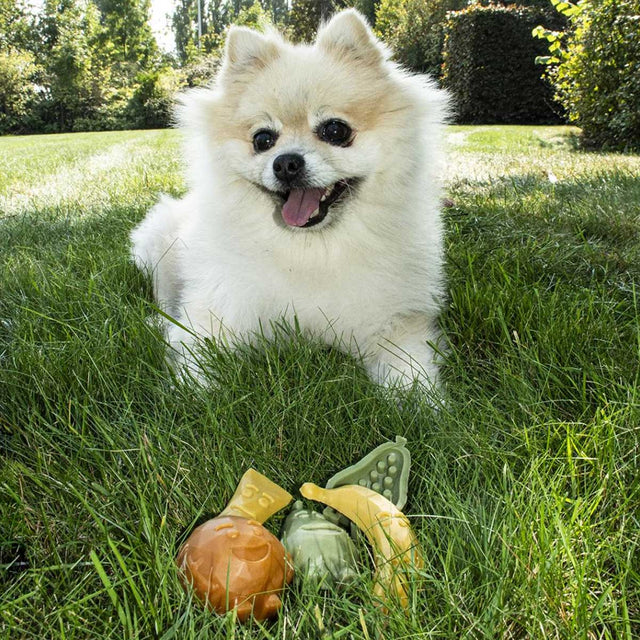 Garden Bites Fruity Friends Zahnpflege