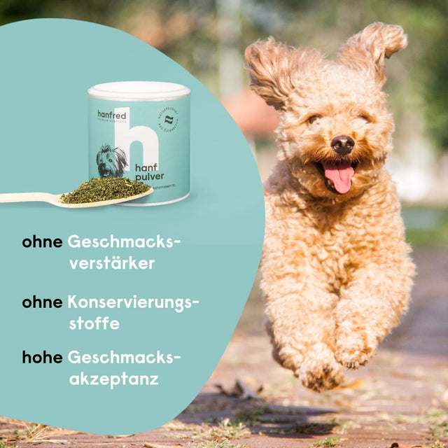 Hanfred Hanfpulver Funktionssnack