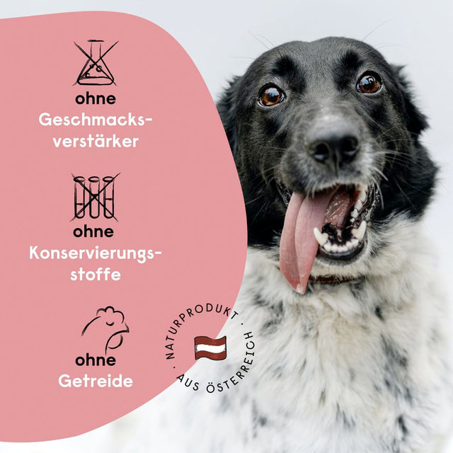 Hanfred Hanf SOS Stangerl Ultra, Pferd 17g Funktionssnack