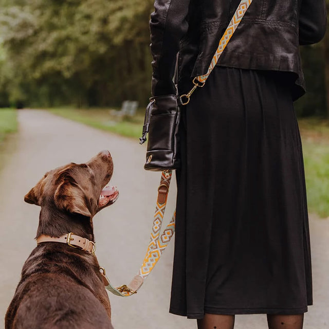 Hey Lana Hundehalsband Gepolstert – Mint/Orange Hundehalsband